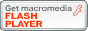 Flash Player_E[hTCg